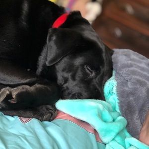 Meet your Posher, Tatum
